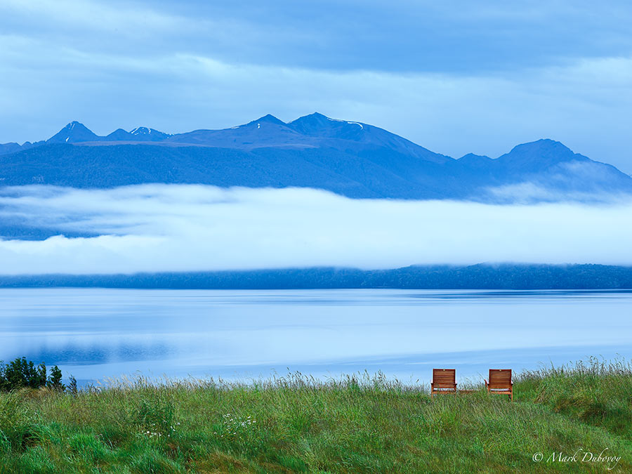 Contemplation. Near Te Anau, New Zealand. PhaseOne XF with 240 mm Blue Line lens and IQ 3 100 back.